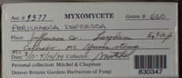 Image Associated With the Occurence